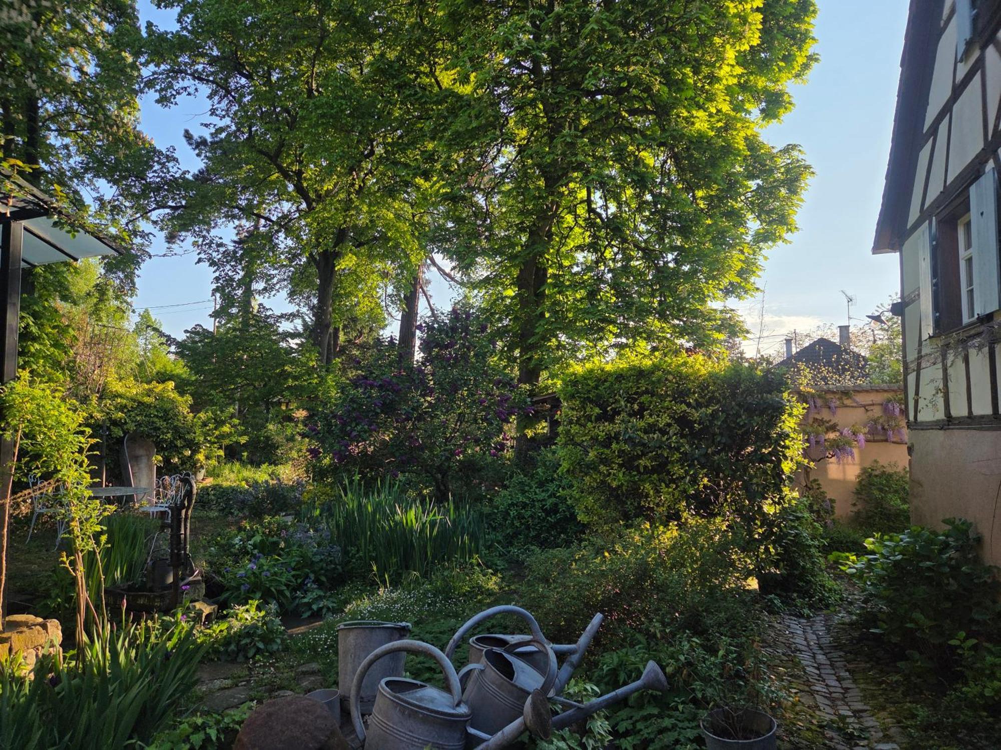Le Temps Des Cigognes Villa Barr Exterior photo