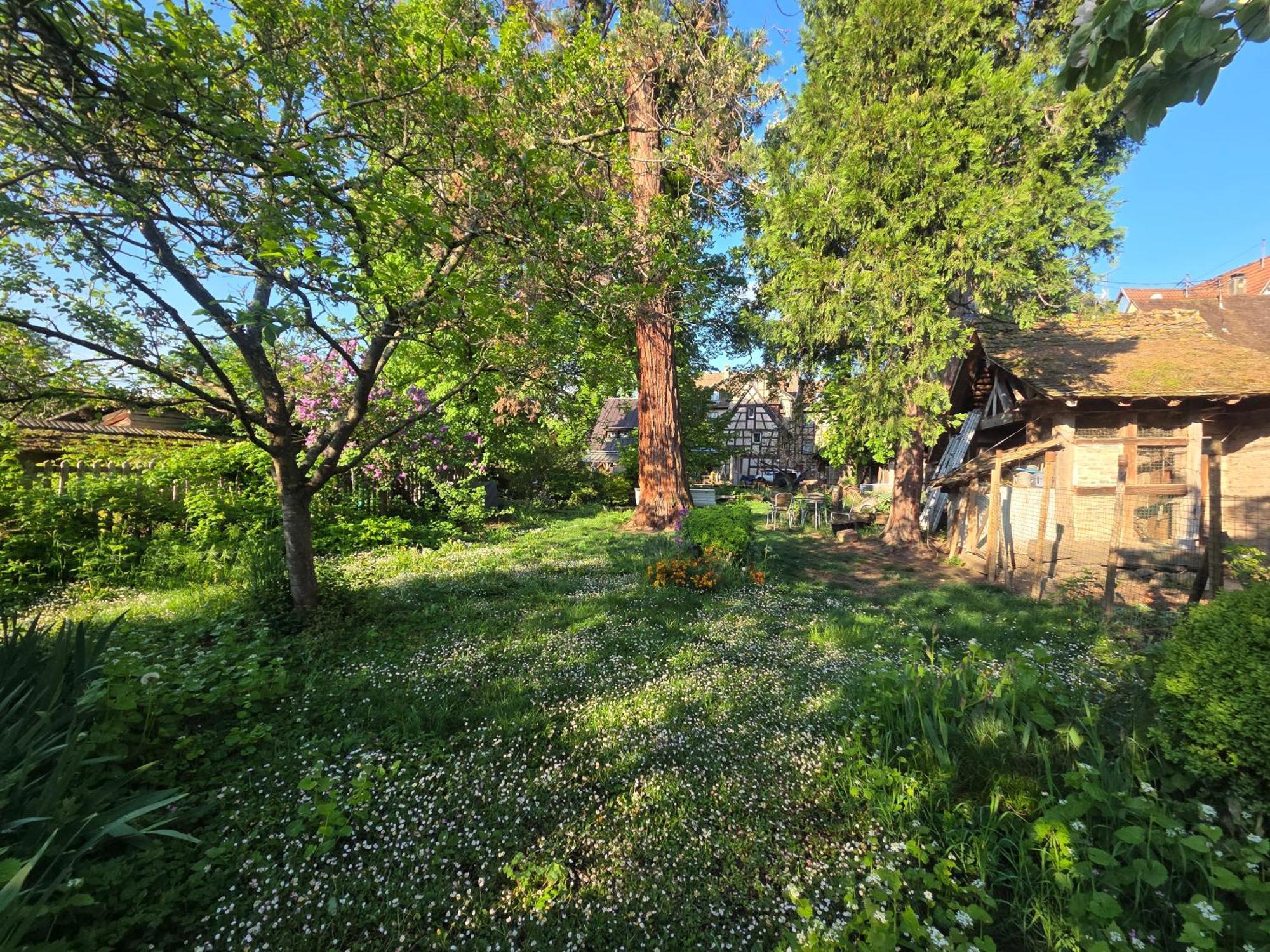 Le Temps Des Cigognes Villa Barr Exterior photo