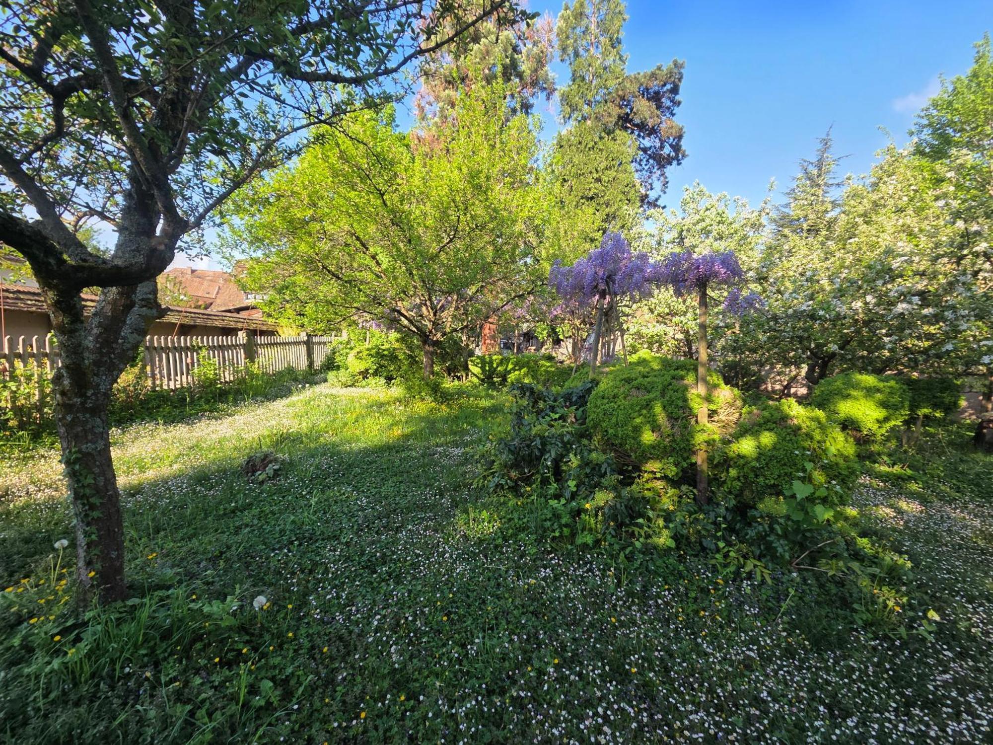 Le Temps Des Cigognes Villa Barr Exterior photo