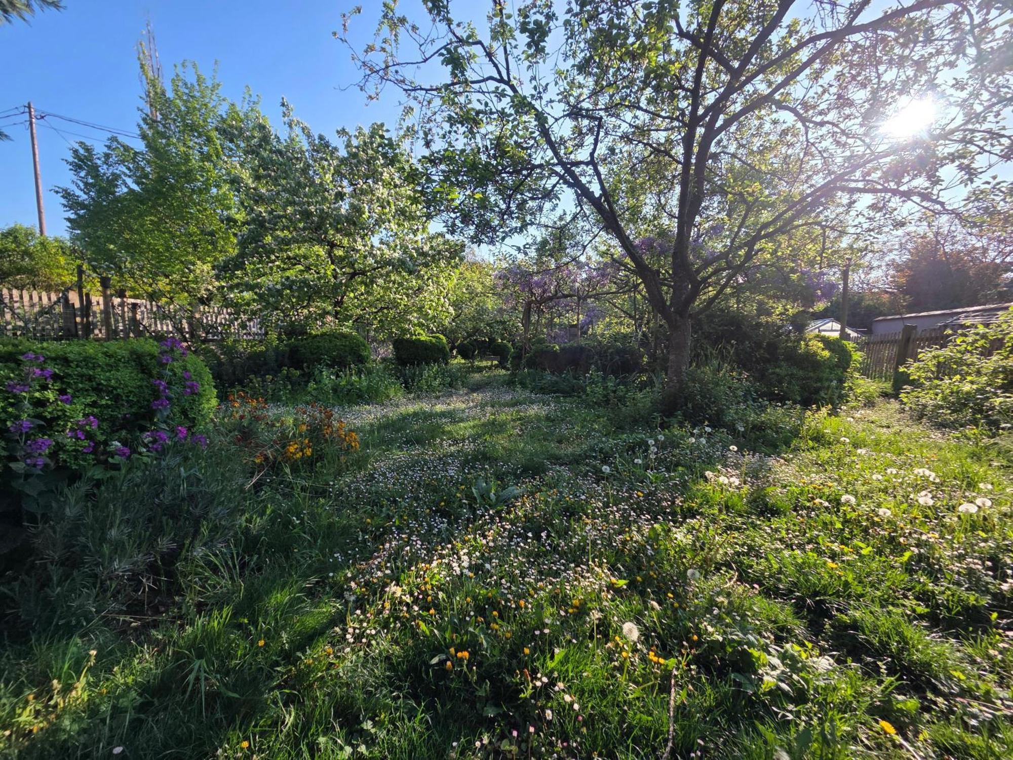 Le Temps Des Cigognes Villa Barr Exterior photo