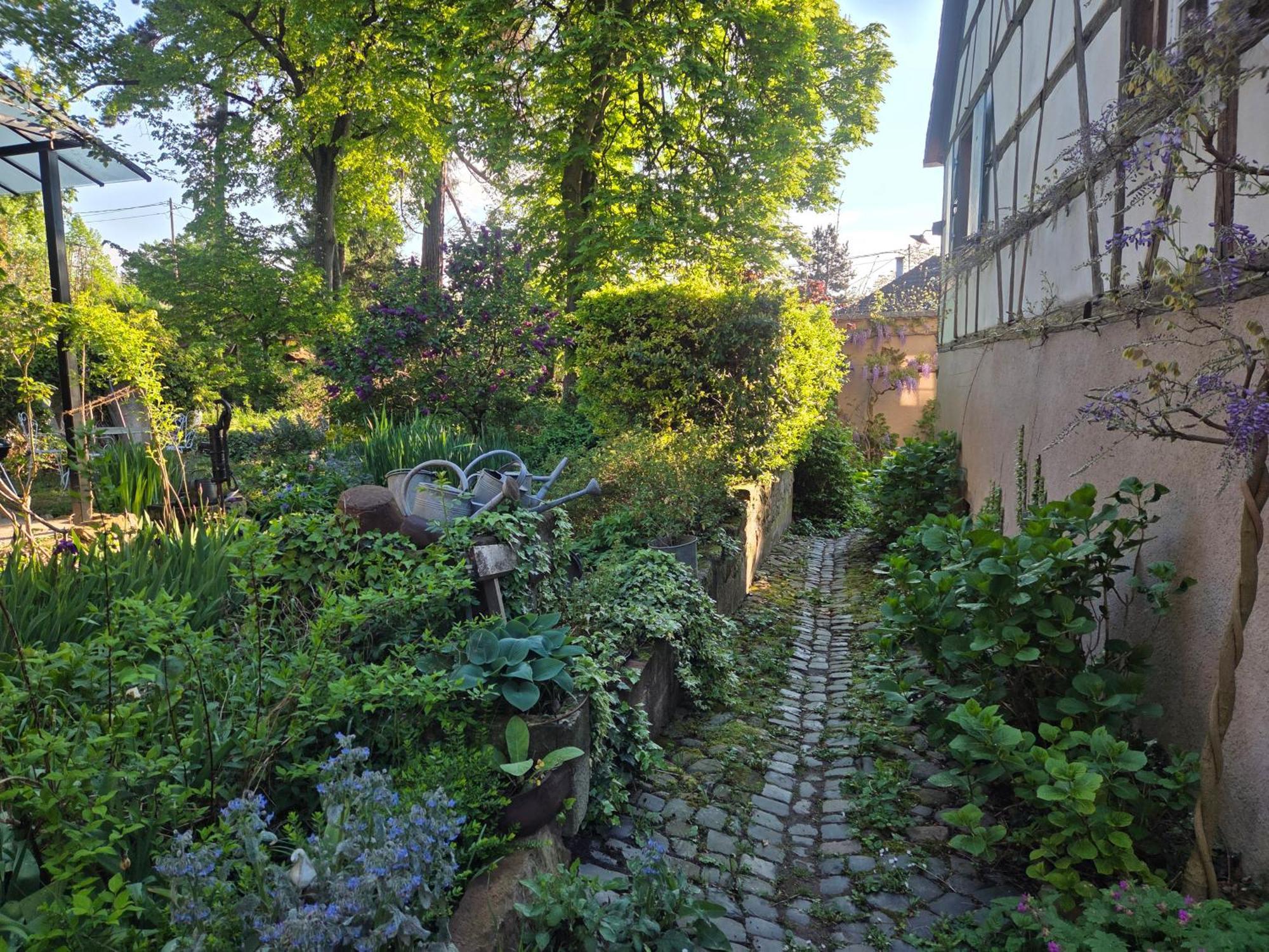Le Temps Des Cigognes Villa Barr Exterior photo