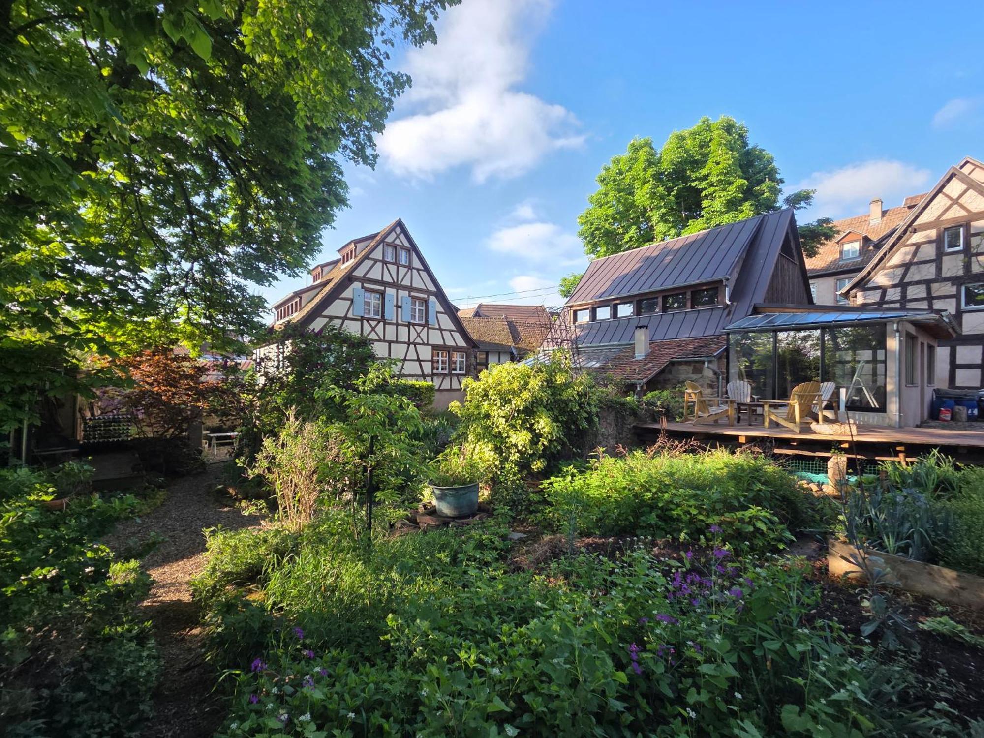 Le Temps Des Cigognes Villa Barr Exterior photo