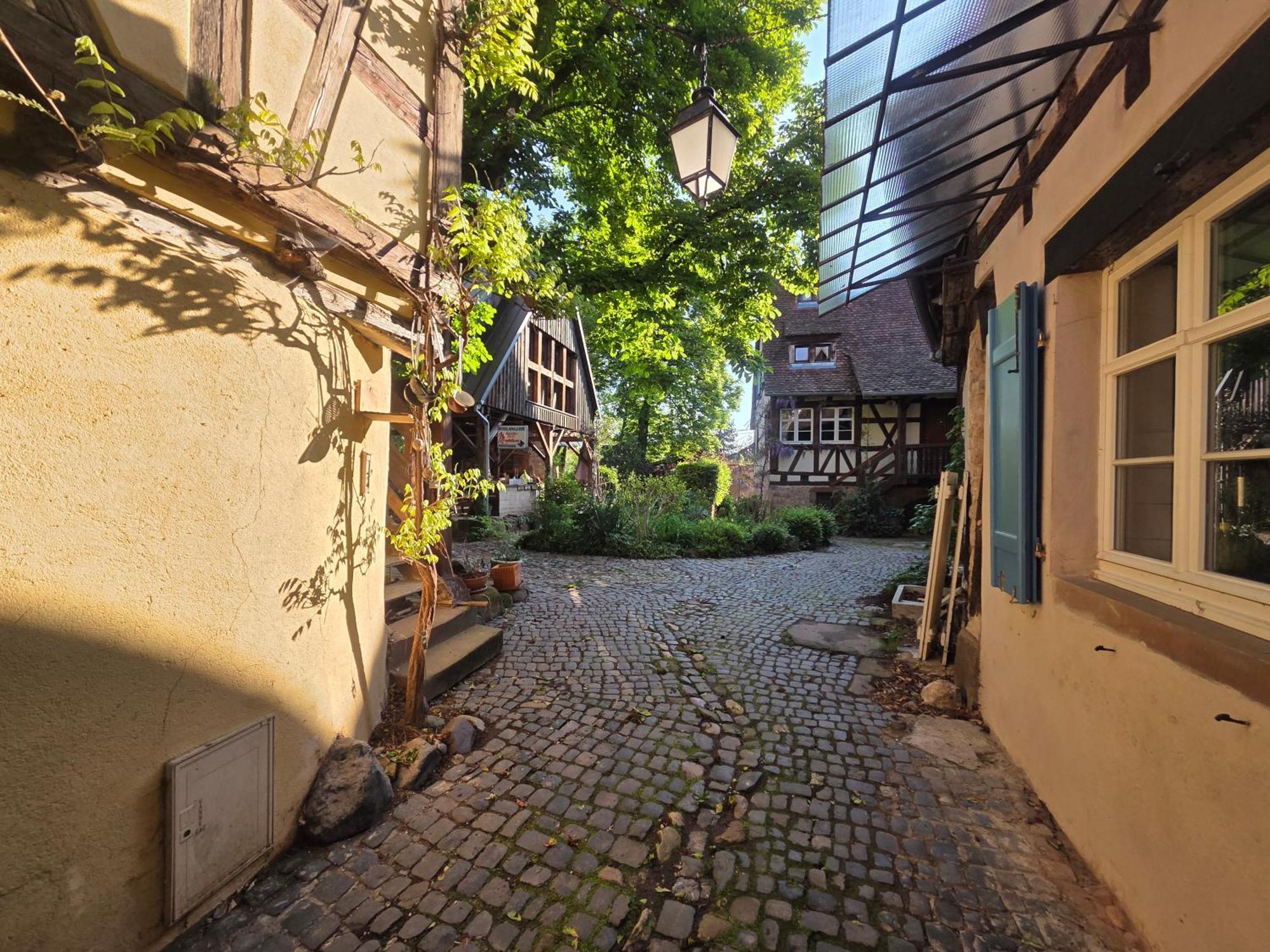 Le Temps Des Cigognes Villa Barr Exterior photo