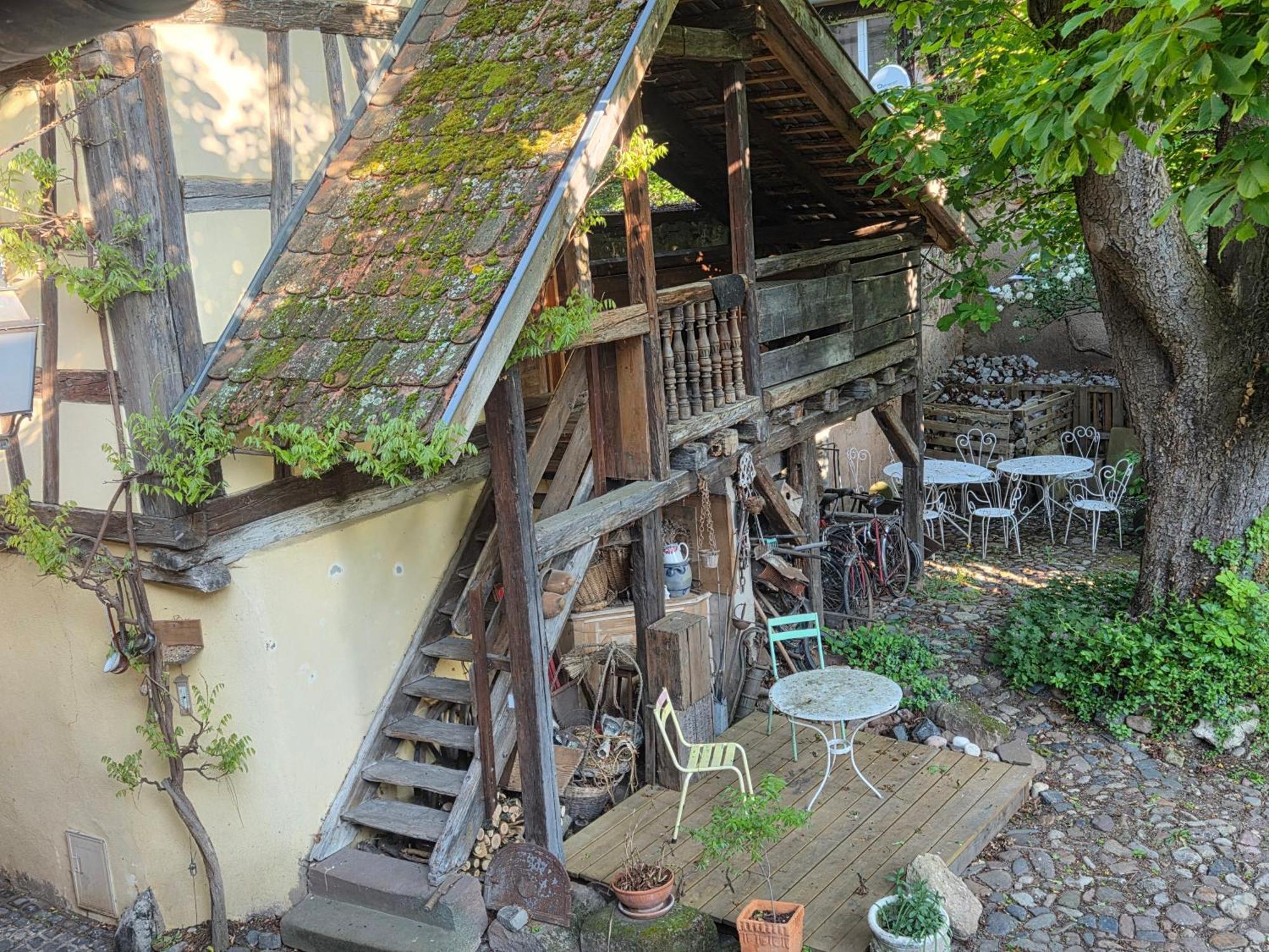 Le Temps Des Cigognes Villa Barr Exterior photo