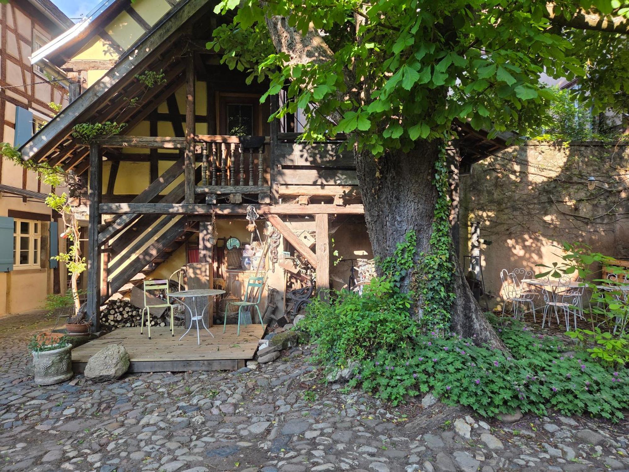Le Temps Des Cigognes Villa Barr Exterior photo