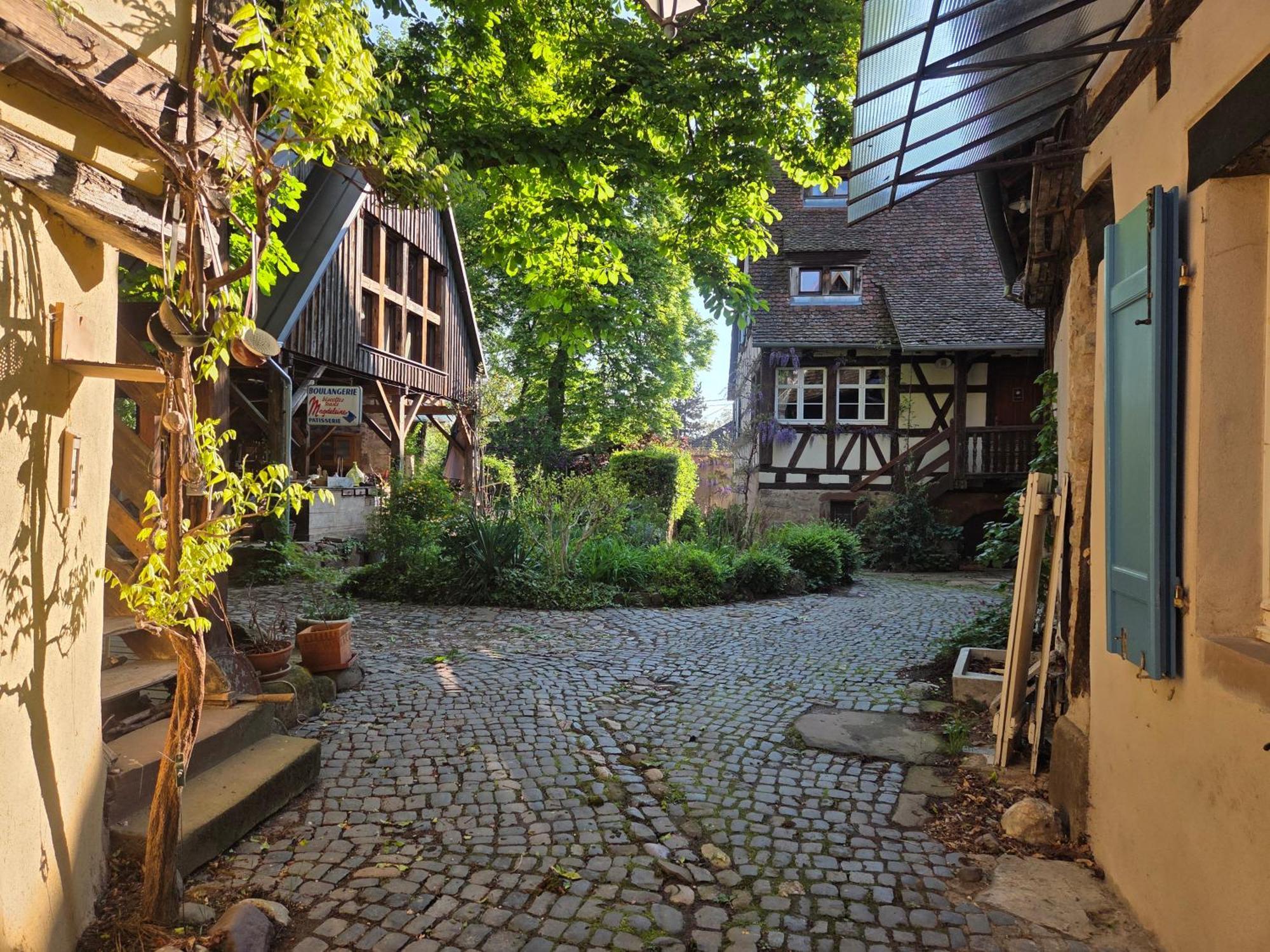 Le Temps Des Cigognes Villa Barr Exterior photo