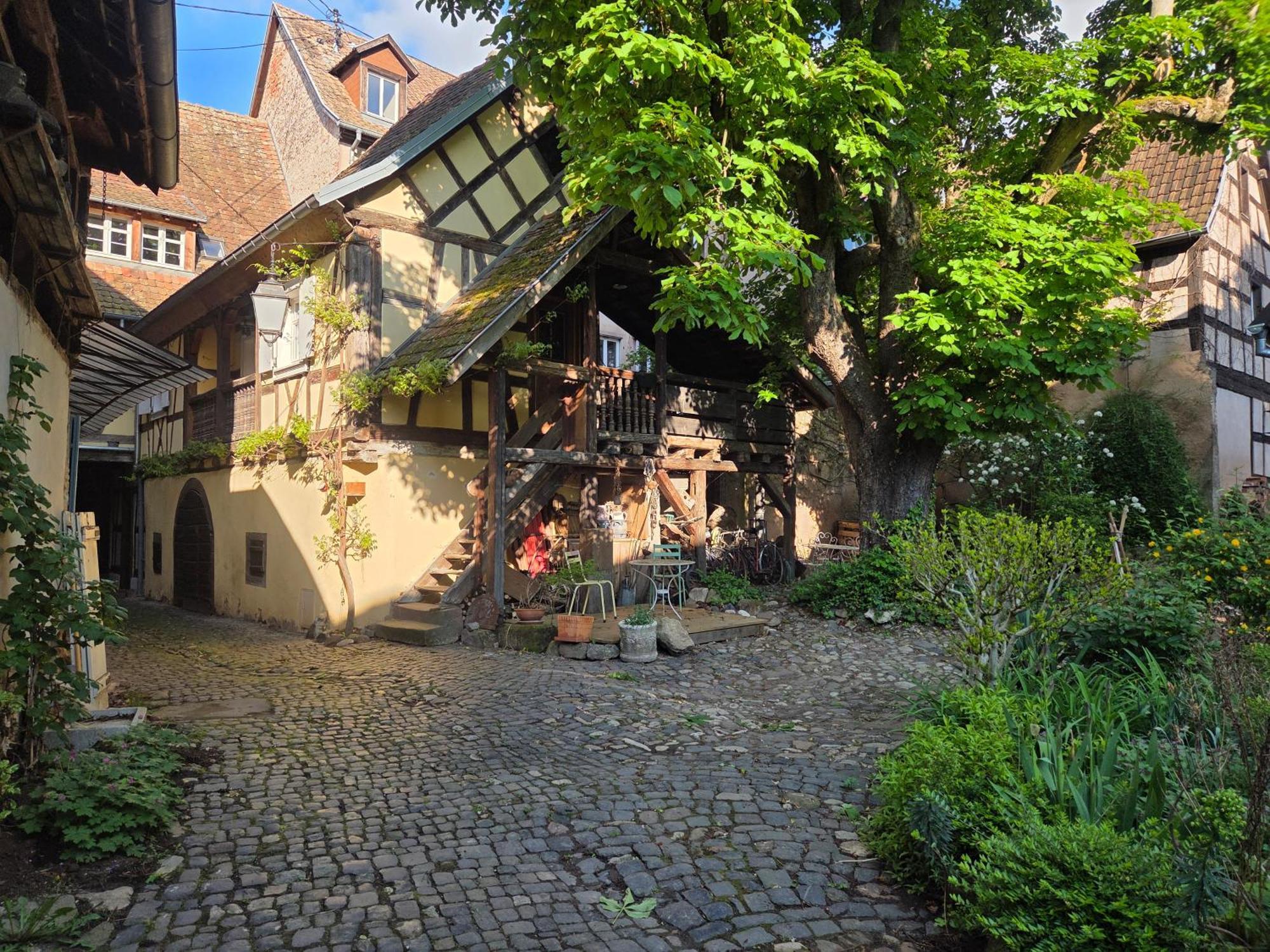 Le Temps Des Cigognes Villa Barr Exterior photo