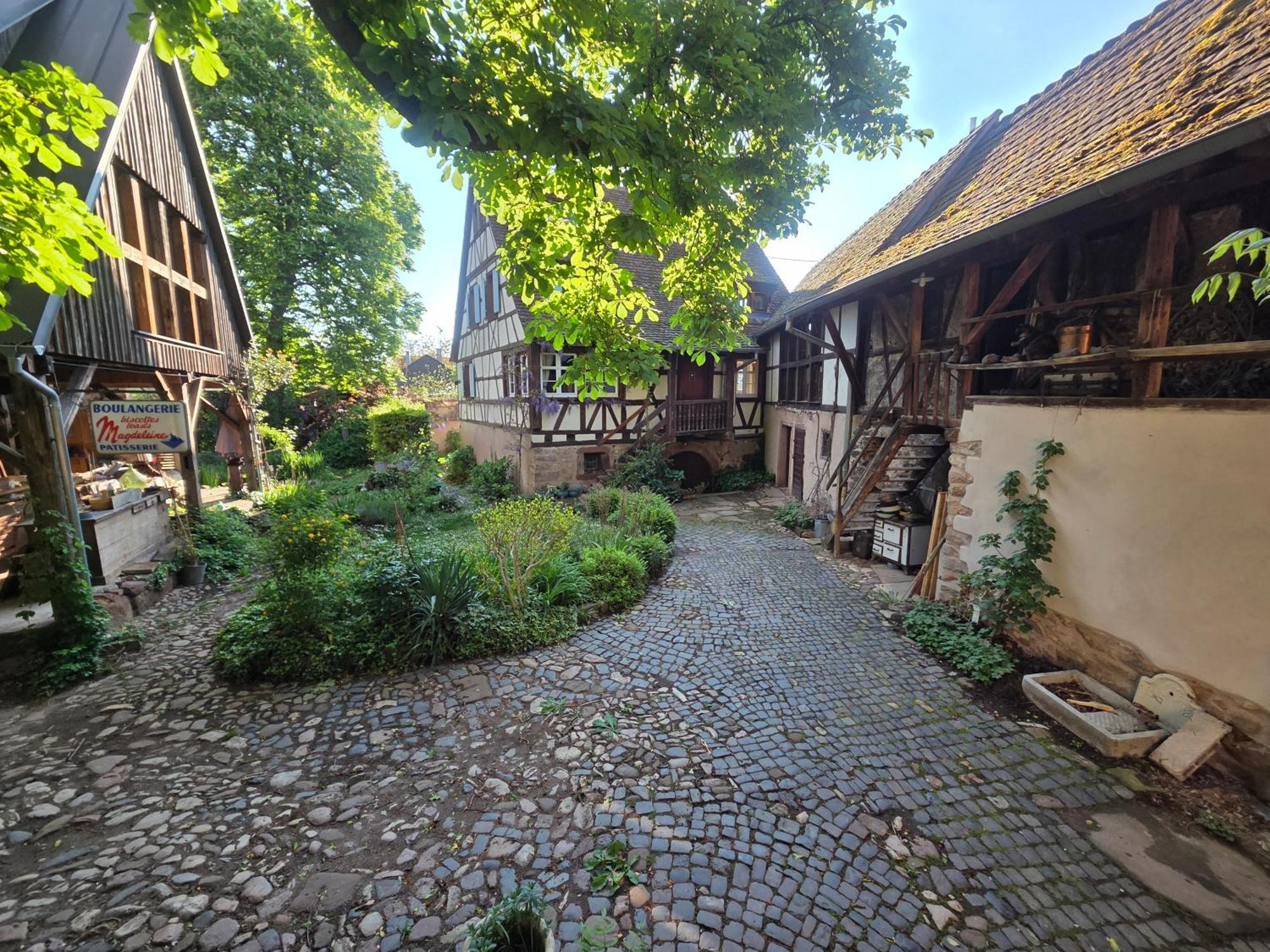 Le Temps Des Cigognes Villa Barr Exterior photo