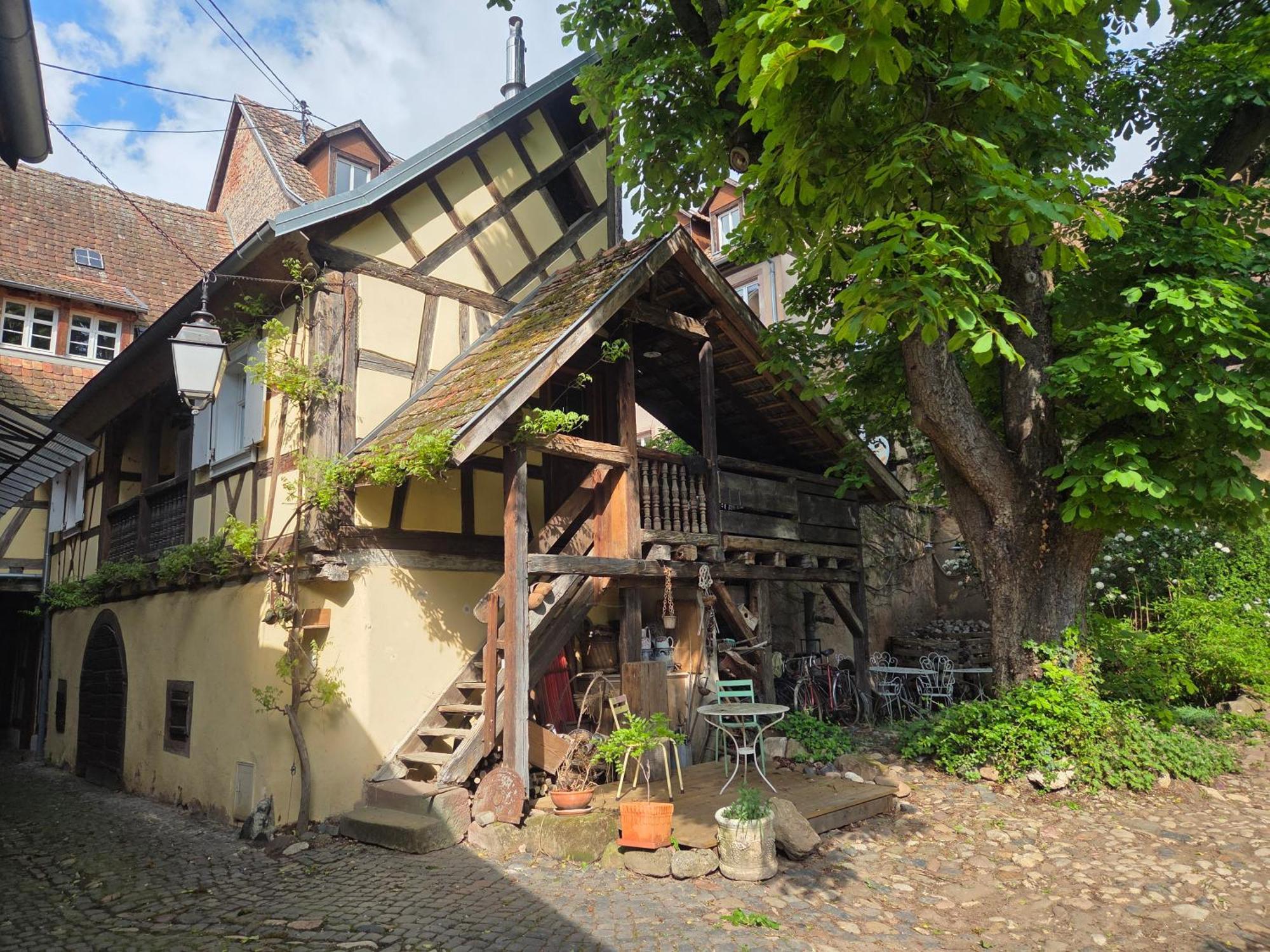 Le Temps Des Cigognes Villa Barr Exterior photo